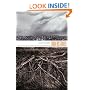 Understories: The Political Life of Forests in Northern New Mexico