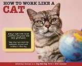 How to Work Like a Cat Calendar 2012