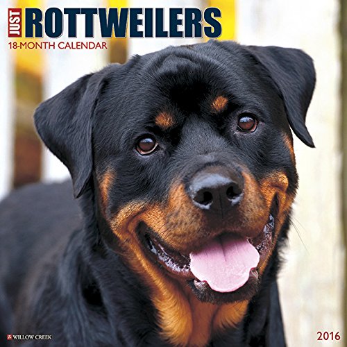 2016 Just Rottweilers Wall Calendar
