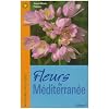 Fleurs de M�diterran�e