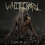 Eternal Refuge [Explicit]