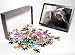 Photo Jigsaw Puzzle of Chimpanzee - picking nose, Gigi female 39 yrs from Ardea Wildlife Pets