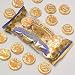 Solid Milk Chocolate Flavored Gold Coins Case Pack 24 - 373286