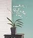 Everblooming White Orchids