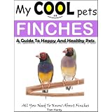 My Cool Pets: Finches - All You Need To Know About Finches