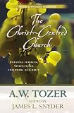 The Christ-centred church : creating fearless, spirit- filled followers of Christ