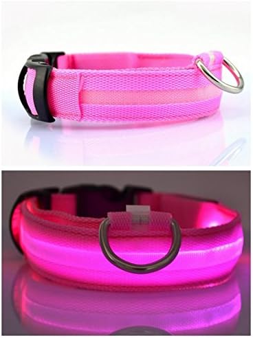 LED Light up Dog Pet Night Safety Bright Flashing Adjustable Nylon Collar Improved Dog Visibility &amp; Safety (M Pink)