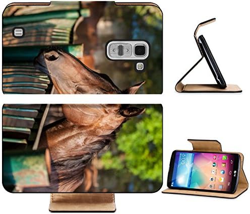 LG G Pro 2 Flip Case English breed horse portrait on the ranch in the evening the summer season IMAGE 28276415 by MSD Customized Premium Deluxe Pu Leather generation Accessories HD Wifi Luxury Protect