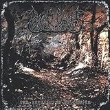 The Invocation Of Demise