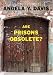 Are Prisons Obsolete?