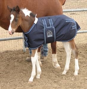 EOUS HW Foal Rug