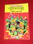 Teenage Mutant Ninja Turtles Buried Treasure