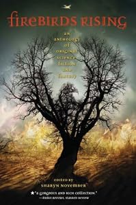 Cover of "Firebirds Rising: An Anthology ...