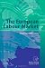 The European Labour Market: Regional Dimensions (AIEL Series in Labour Economics)