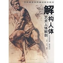 Central Academy of Fine Arts teaching materials based on deconstruction of the human body: art human anatomy Central Academy of Fine Arts teaching materials based on deconstruction of the human body: art human anatomy