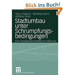 Stadtumbau unter Schrumpfungsbedingungen: Eine sozialwissenschaftliche Fallstudie