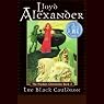 The Black Cauldron: The Prydain Chronicles, Book 2
