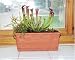 CARNIVOROUS PLANTS - TROUGH OF TERROR