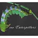 100 caterpillars portraits from the tropical forests of costa rica