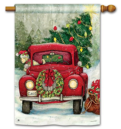 Bringing The Christmas Tree Home In the Old Red Truck 28