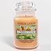 Yankee Candle - 14.5 oz. Cucumber & Cantaloupe