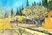 Vincent Van Gogh Flowering Fruit Garden Surrounded by Cypress Art Print Poster - 13x19