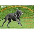 Metall - Warnschild Deutsche Dogge