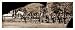 Civil War Photo (M): Appomattox Court House Virginia. Group of Federal soldiers at court house