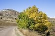 Touch of Fall Along the Road, Theodore Roosevelt National Park - Lovely 16x20 Photographic Print by Carol M. Highsmith