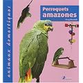 Perroquets amazones