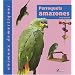 Perroquets amazones