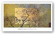 Perimeter of the Blue by Margaretha Bootsma 18"x36" Art Print Poster