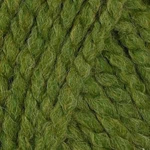Lion-Brand-Wool-Ease-Thick-Quick-Yarn-131-Grass-By-The-Each