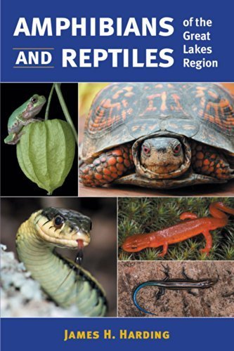 Amphibians and Reptiles of the Great Lakes Region (Great Lakes Environment) Paperback October 1, 1997