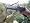 80-lb. Pistol Crossbow