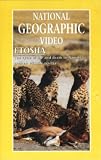 National Geographic Video: Etosha - The Cycle Of Life And Death In Namibia`s Greatest Wildlife Reserve [VHS Video] [PAL Format]