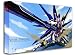 Gundam Seed Destiny Animated Comi, Size: 36