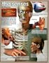 Overview of Five Senses Art Poster Print, 17x22