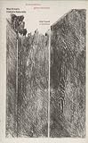 Leaves never grow on trees : Max Ernst's Histoire naturelle