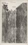Max Ernst's Histoire naturelle: Leaves never grow on trees