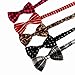 DBF01 Multi-color More Choice Available Great Fashion Bow Ties Set 5in1 By Dan Smith