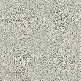 Fritztile Granite Tile Mount Airy White 12 x 12 Granite Tile