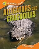 Alligators & Crocodiles