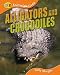Alligators & Crocodiles