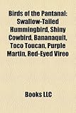 Birds of the Pantanal: Swallow-Tailed Hummingbird, Shiny Cowbird, Bananaquit, Toco Toucan, Purple Martin, Red-Eyed Vireo-