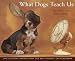 dogs6  - What Dogs Teach Us 2010 Wall Calendar 13