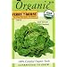 Ferry-Morse 3069 Organic Lettuce Seeds, Bibb (1.8 Gram Packet)