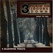 Pickin on 3 Doors Down: Bluegrass Tribute - Down to This