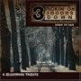 Pickin on 3 Doors Down: Bluegrass Tribute - Down to This