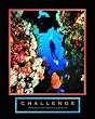 Challenge-Diver, Motivational Poster